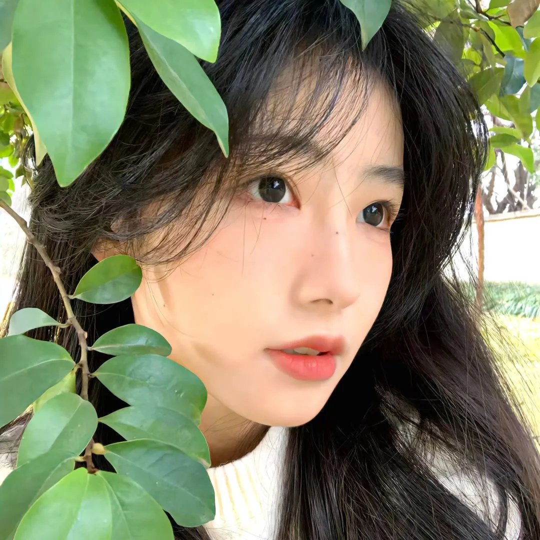 凯利女王