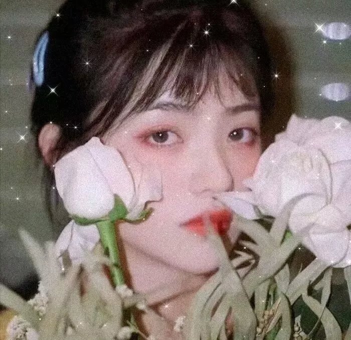哲秀与英熙